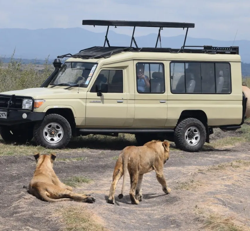 3 Day vs. 4 Day Safari Itinerary in Kenya